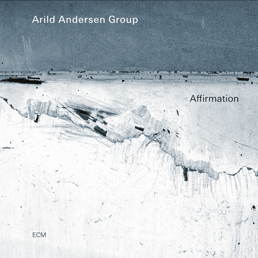 ARILD ANDERSEN GROUP-AFFIRMATION